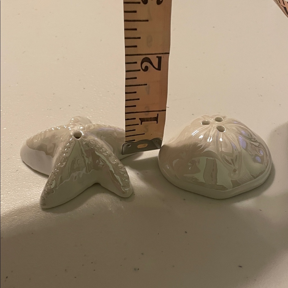Mini Shakers Set Starfish Sand dollar - Picture 3 of 10